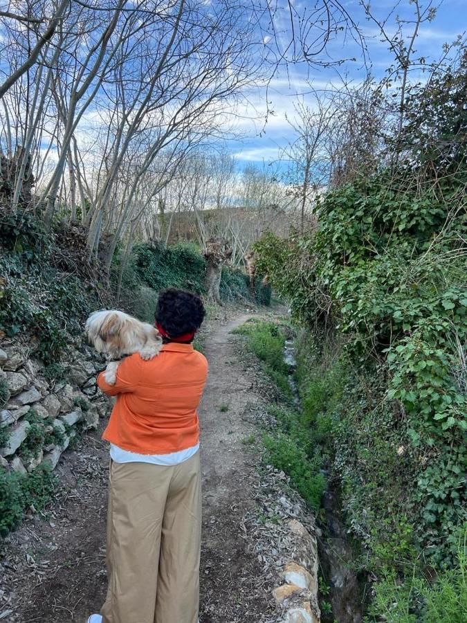 Casa Rural El Encanto Zarra Eksteriør billede